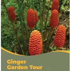 Ginger Garden Tour